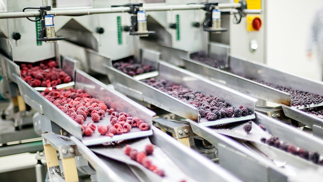 Instant Dispatch Delivers for MultiFacility Food Processing Giant