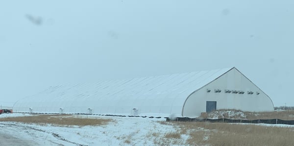 MTS Fabric Structure