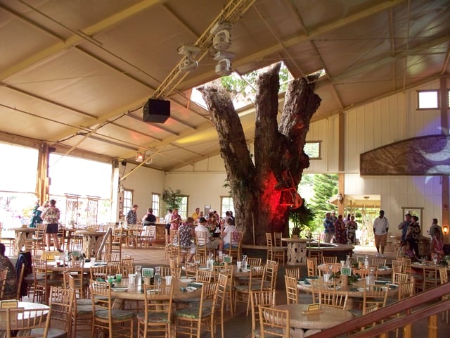 special event tent rental