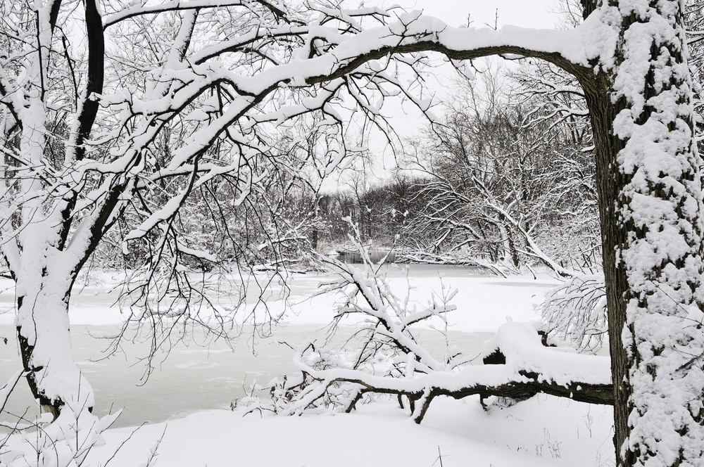Winter at a glance River with snow and ice framed by trees in foreground after a blizzard early in March, Oak Brook, Illinois
