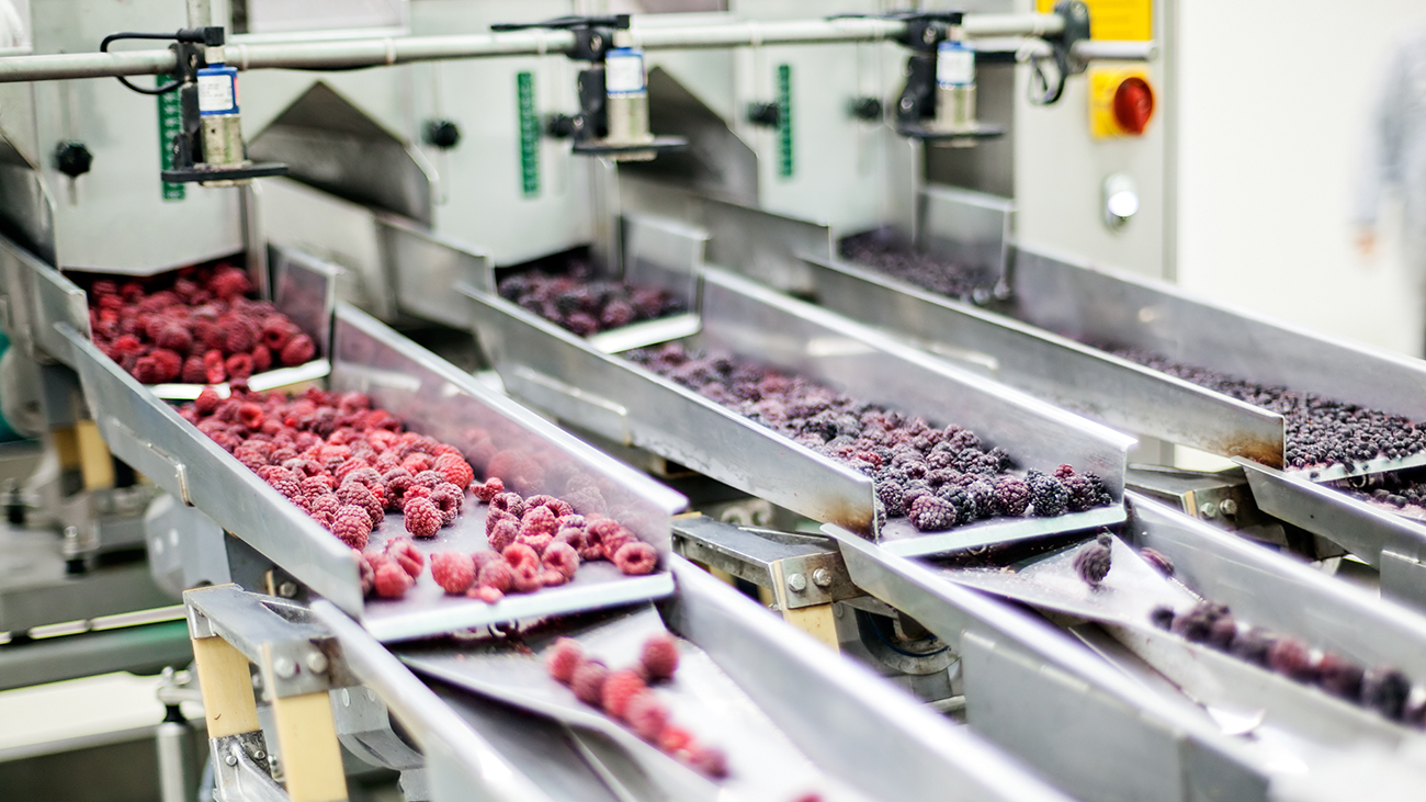 Instant Dispatch Delivers for MultiFacility Food Processing Giant