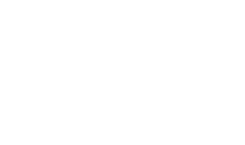 Mahaffey USA Experience | Pfizer